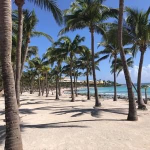 Meet your Posher, Natalia